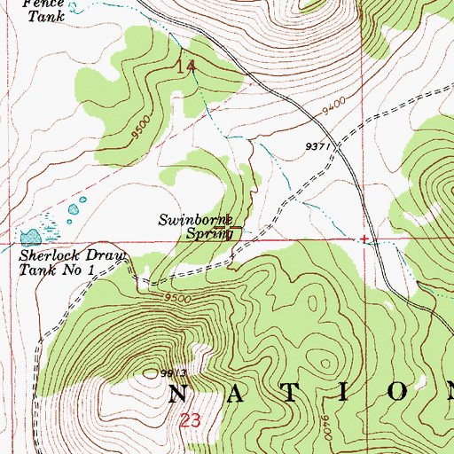 Topographic Map of Swinborne Spring, AZ