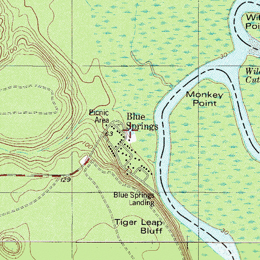 Topographic Map of Blue Springs, GA