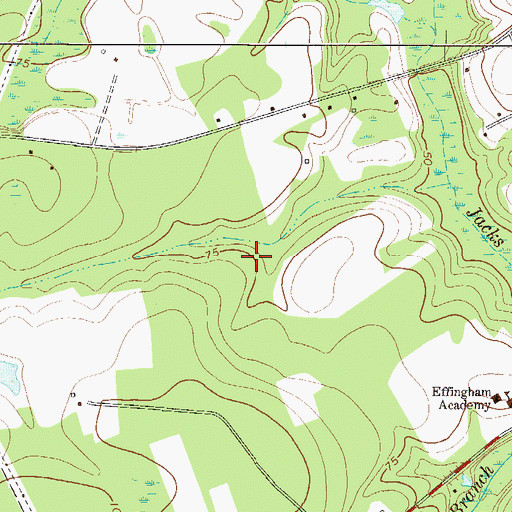 Topographic Map of Effingham County, GA