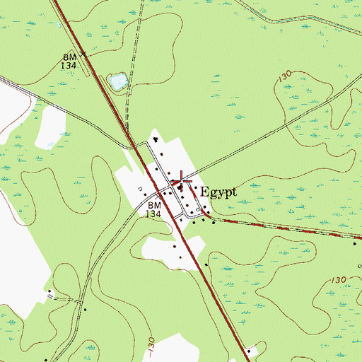 Topographic Map of Elam Church, GA