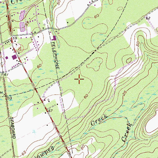 Topographic Map of Willowpeg, GA