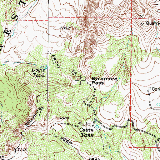 Topographic Map of Sycamore Pass, AZ