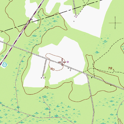 Topographic Map of Purvis School (historical), GA
