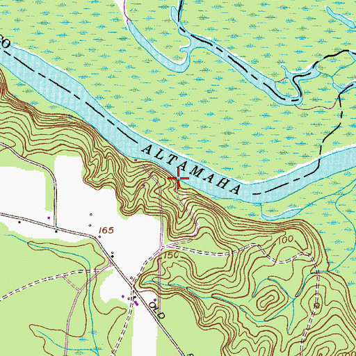 Topographic Map of Tar Landing, GA