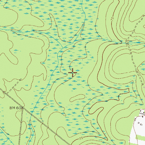 Topographic Map of Wayne County, GA