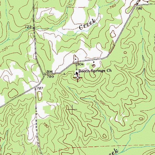 Topographic Map of Beech Springs Cemetery, GA