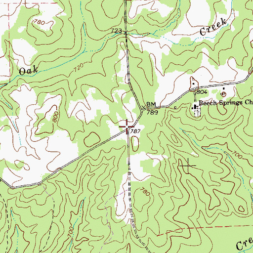 Topographic Map of Copeland (historical), GA