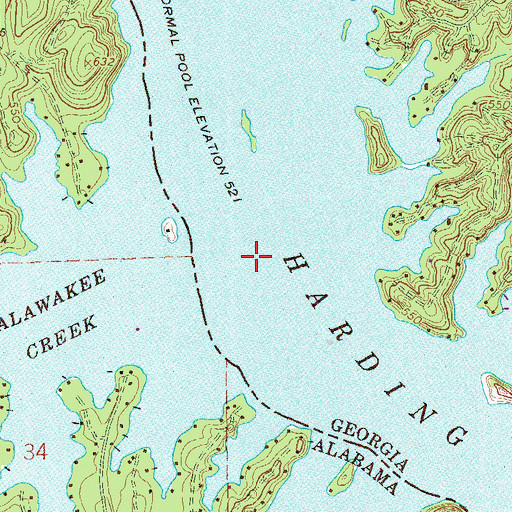 Topographic Map of Phipps Island (historical), GA