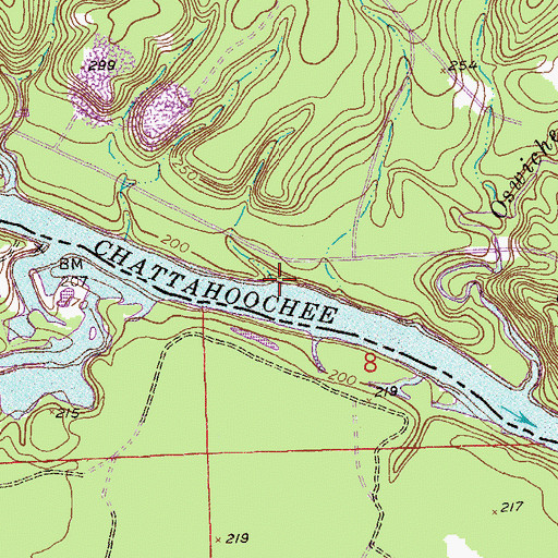 Topographic Map of Chambers Landing, GA