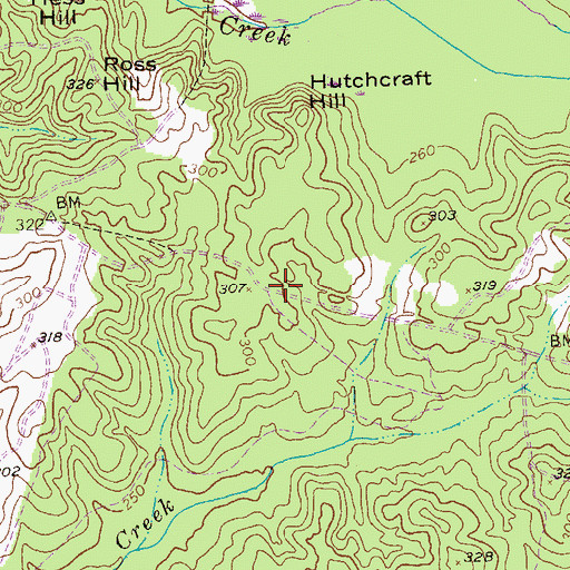Topographic Map of Cottage Mills (historical), GA