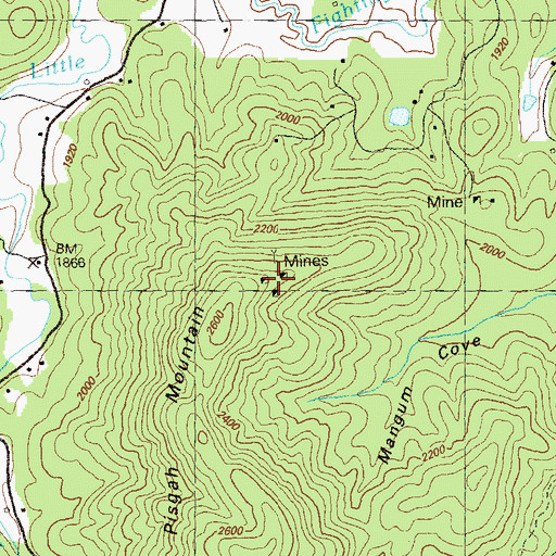 Topographic Map of Mount Pisgah Prospect, GA