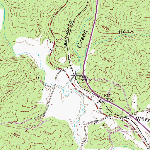 Topographic Map of Burton Junction (historical), GA