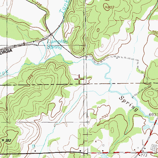 Topographic Map of Duck Pond, GA