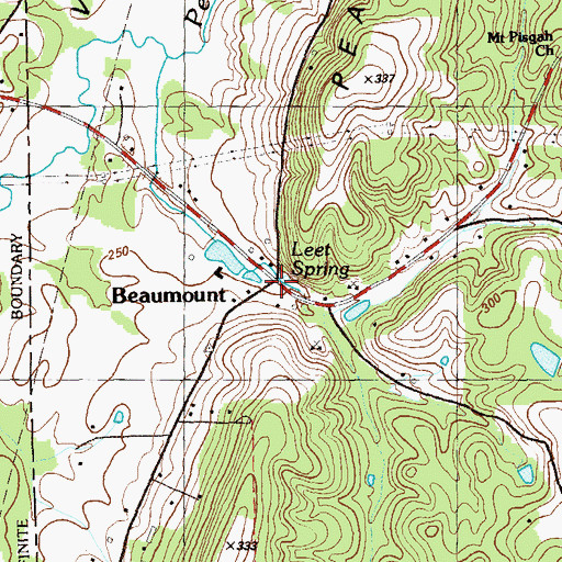 Topographic Map of Leet Spring, GA