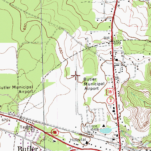 Topographic Map of Butler Municipal Airport, GA