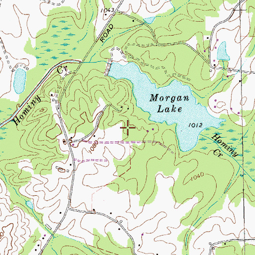 Topographic Map of Wilson Airstrip, GA