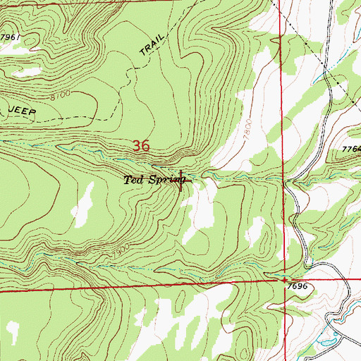 Topographic Map of Ted Spring, AZ