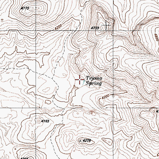 Topographic Map of Tejano Spring, AZ
