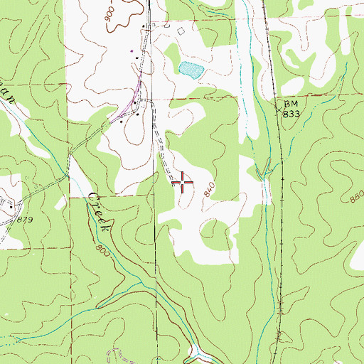 Topographic Map of Flying N Estates Airport, GA