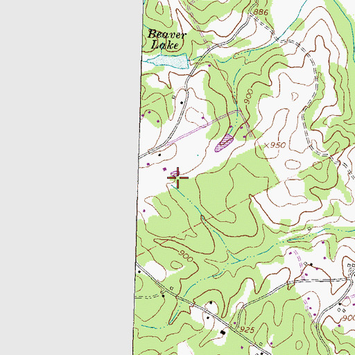 Topographic Map of Lenora Airport, GA