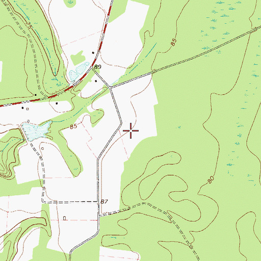 Topographic Map of Swaids Field, GA