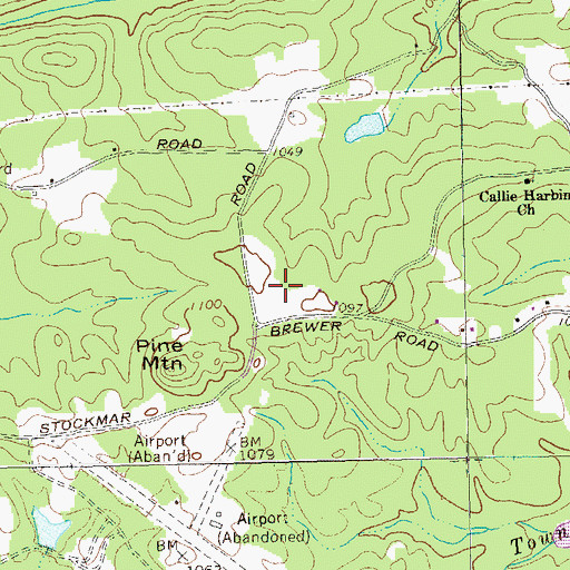 Topographic Map of Earl L Small Jr Field/Stockmar Airport, GA