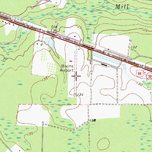 Topographic Map of Bivins Airport, GA