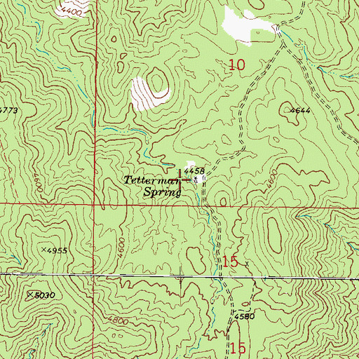 Topographic Map of Tetterman Spring, AZ