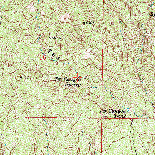 Topographic Map of Tex Canyon Spring, AZ