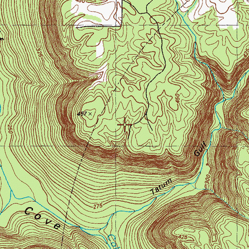 Topographic Map of Racoon Mine, GA