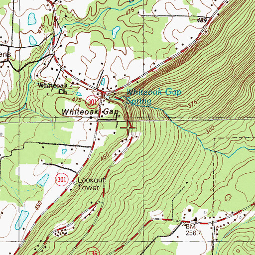 Topographic Map of White Oak Mine, GA