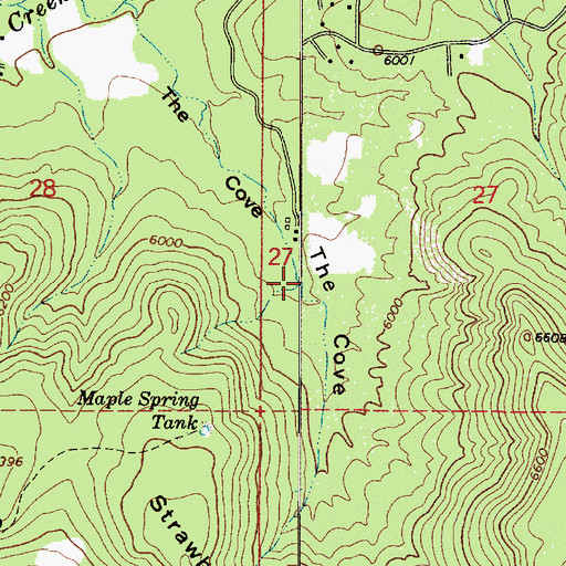 Topographic Map of The Cove, AZ