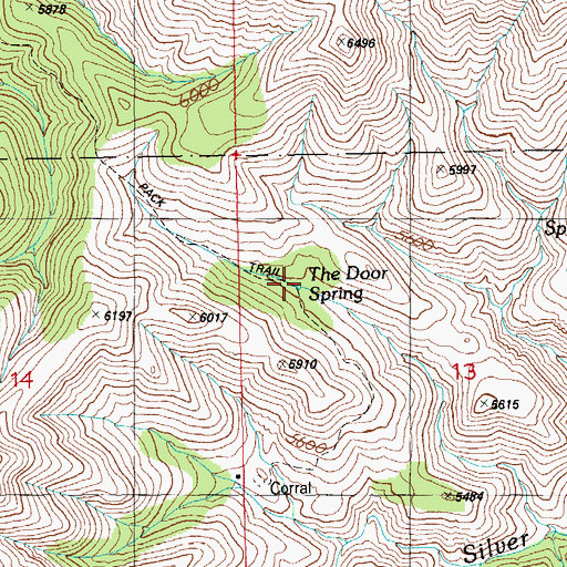 Topographic Map of The Door Spring, AZ
