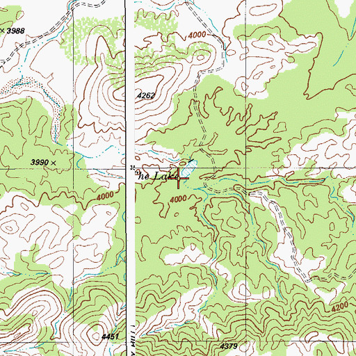 Topographic Map of The Lake, AZ