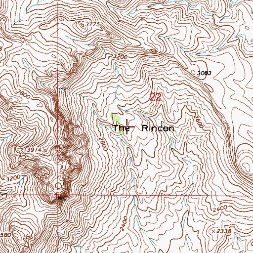Topographic Map of The Rincon, AZ