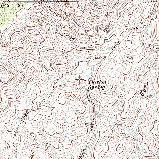 Topographic Map of Thicket Spring, AZ