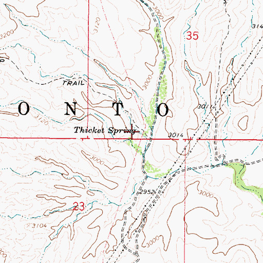 Topographic Map of Thicket Spring, AZ
