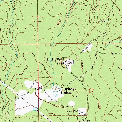 Topographic Map of Thistle Well, AZ