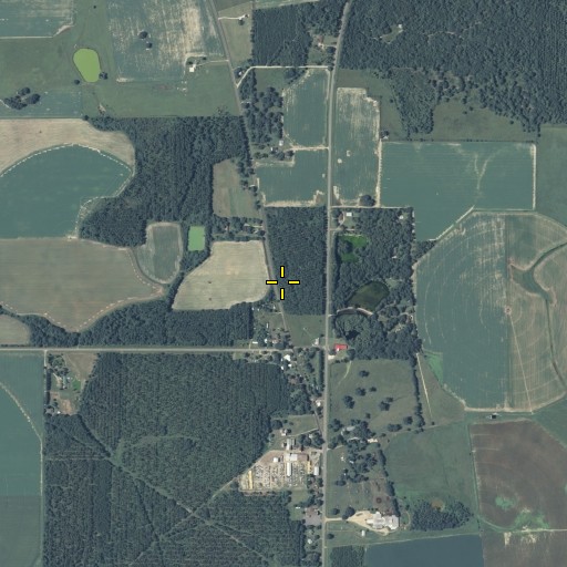 Aerial/Satellite Image of WGMK-FM (Donalsonville), GA