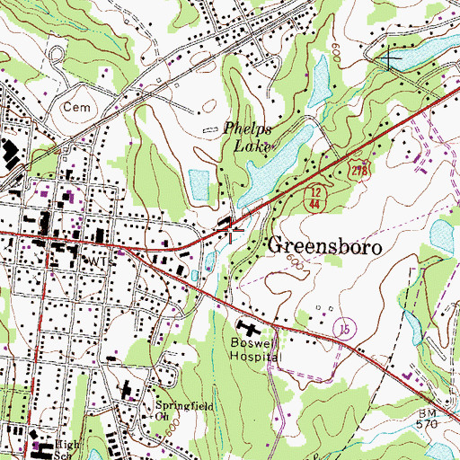 Topographic Map of WDDK-FM (Greensboro), GA