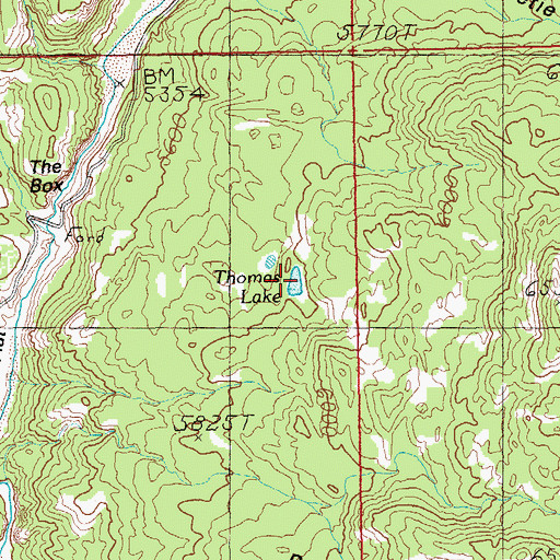 Topographic Map of Thomas Lake, AZ