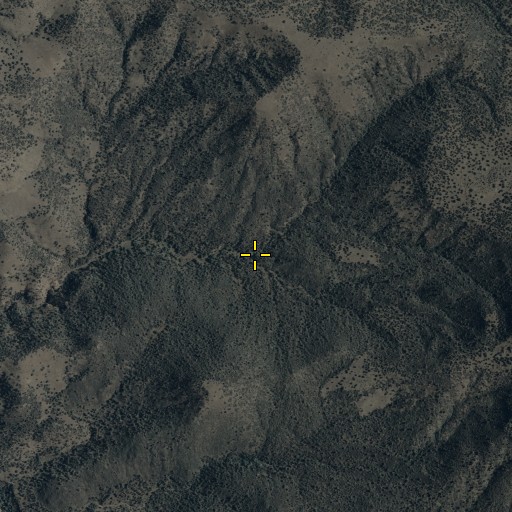 Aerial/Satellite Image of Thomas Spring, AZ