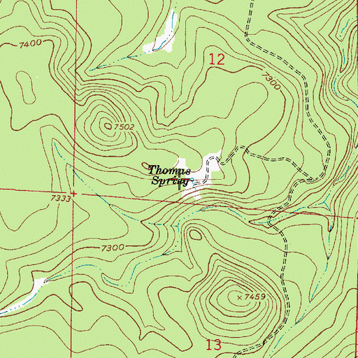 Topographic Map of Thomas Spring, AZ