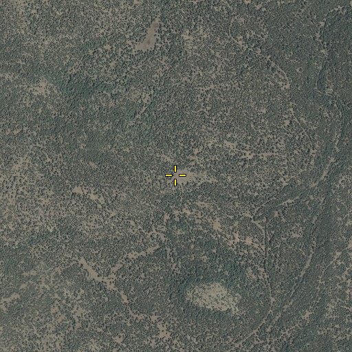 Aerial/Satellite Image of Thomas Spring, AZ