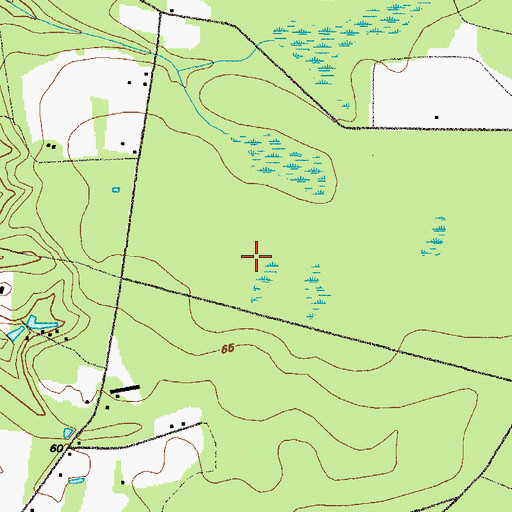 Topographic Map of WBSG-TV (Brunswick), GA