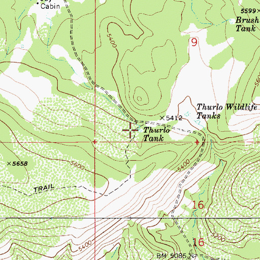 Topographic Map of Thurlo Tank, AZ