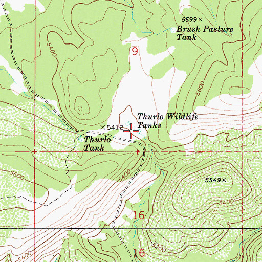 Topographic Map of Thurlo Wildlife Tanks, AZ