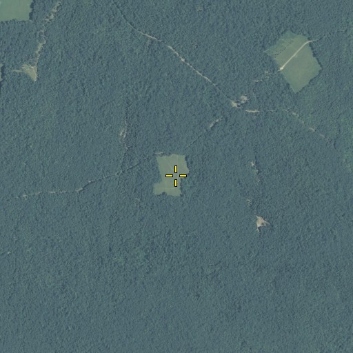 Aerial/Satellite Image of Brook Field, GA