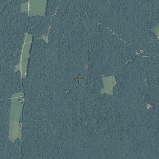 Aerial/Satellite Image of Patrick Cemetery, GA