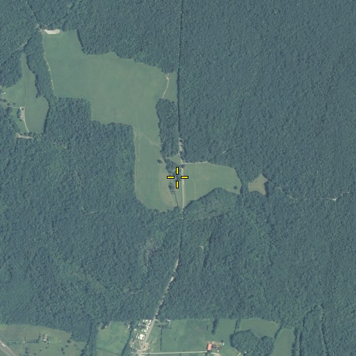 Aerial/Satellite Image of Viniard House, GA